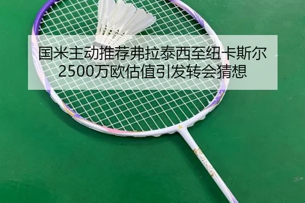 国米主动推荐弗拉泰西至纽卡斯尔 2500万欧估值引发转会猜想